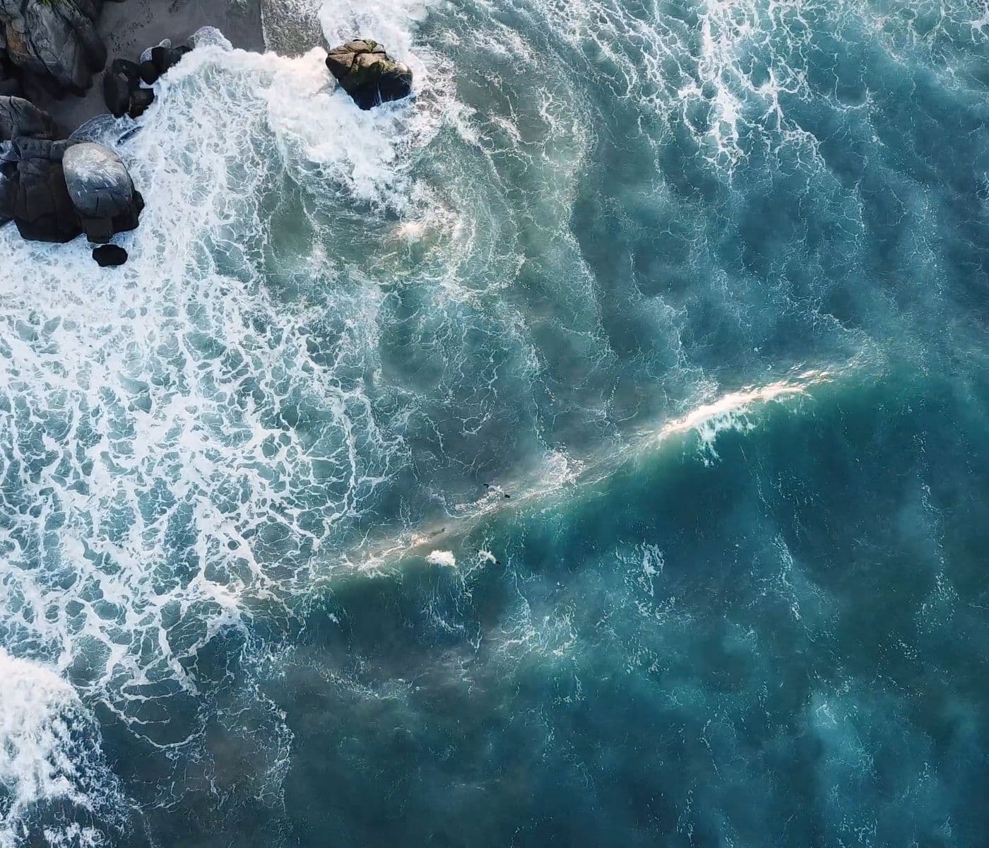 Coastal water and landscape illustrating environmental systems