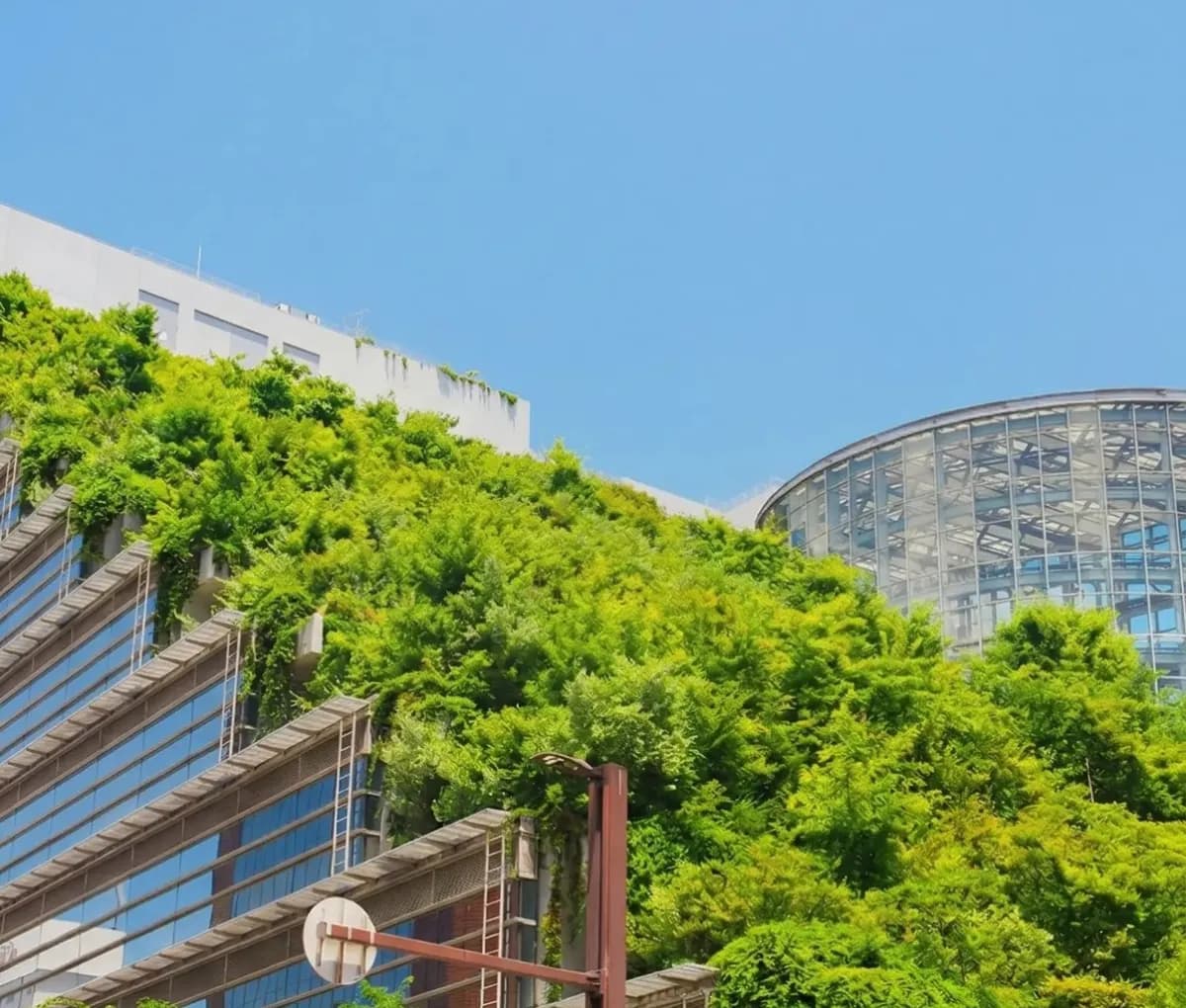 A contemporary building surrounded by trees and planted terraces